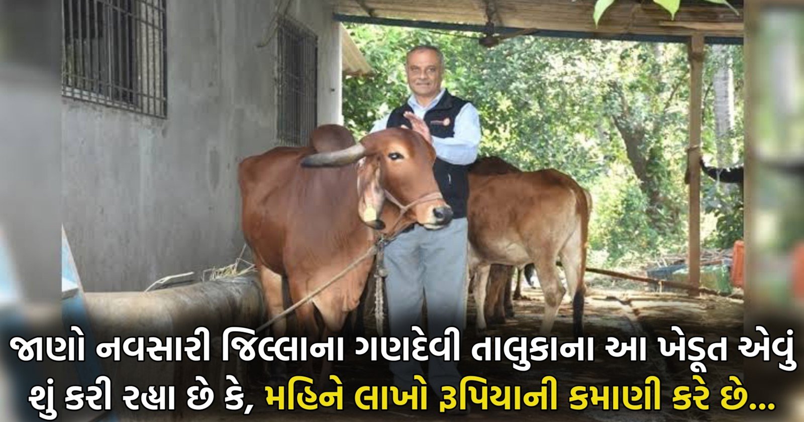 navsari farmer