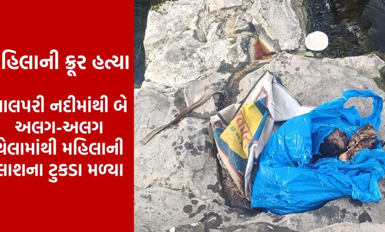 Brutal murder of woman – A woman's dismembered body found in Rajkot