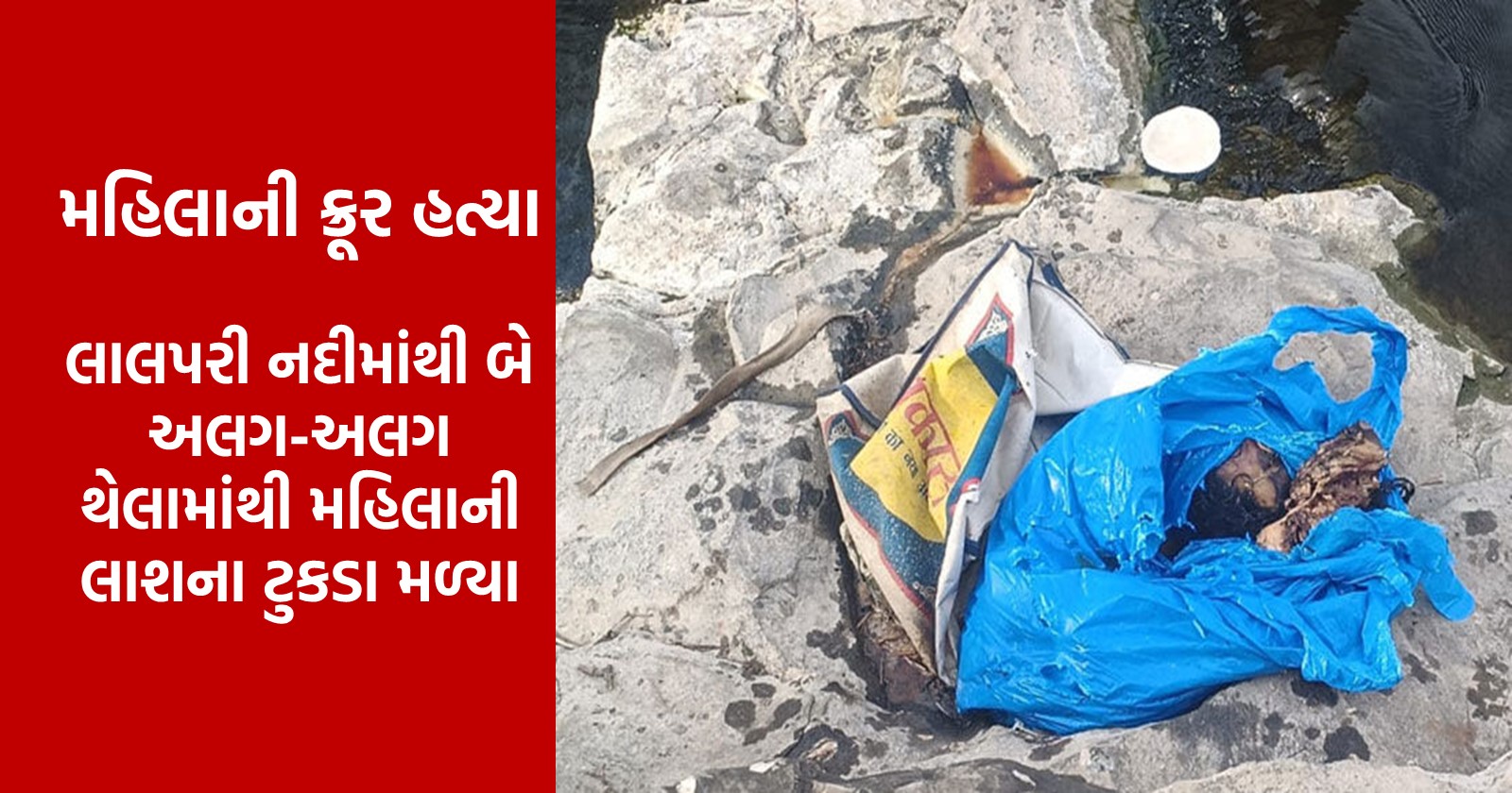 Brutal murder of woman – A woman's dismembered body found in Rajkot