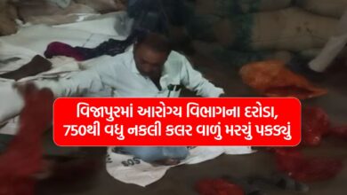 Health department raids in vijapur, seize more than 750 fake colored chillies