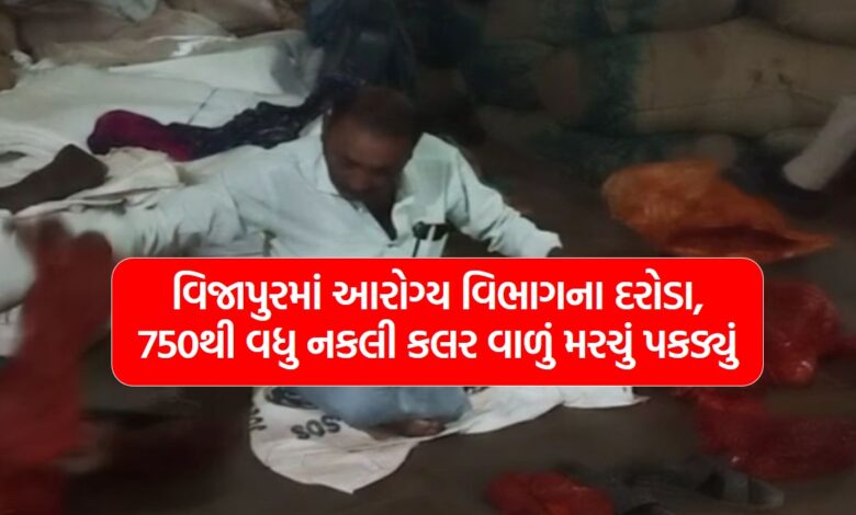 Health department raids in vijapur, seize more than 750 fake colored chillies