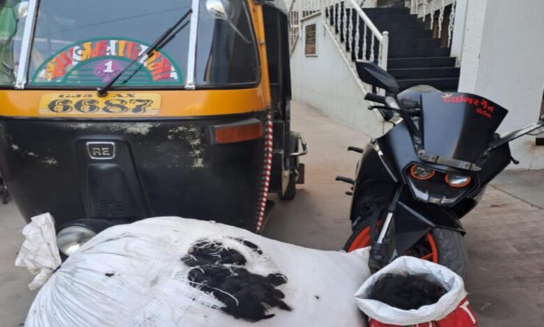 In Rajkot, not mobile or cash, but hair worth lakhs of rupees was stolen