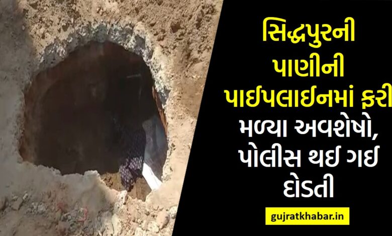 Remains found again in Siddpur's water pipeline, police running