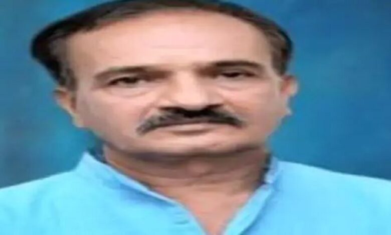 The terror of stray cattle, stray cattle took the life of an old man in Nadiad