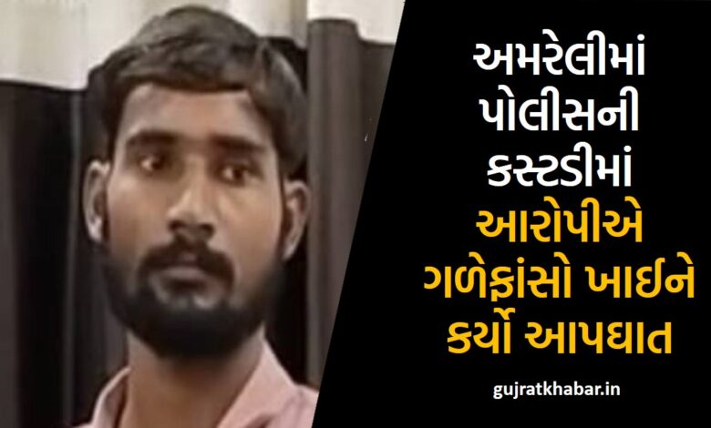 Accused committed suicide by hanging himself in police custody in Amreli