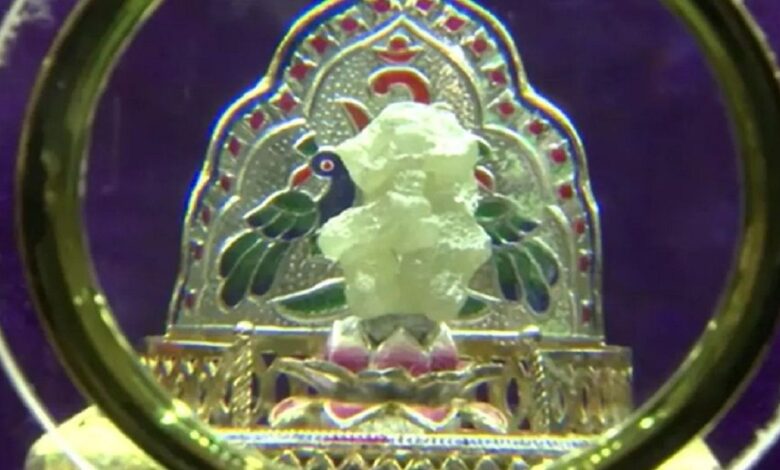 સુરતમાં 500 કરોડના રિયલ ડાયમંડના ગણપતિની સ્થાપના, આ રીતે કરશે ગણેશ વિસર્જન