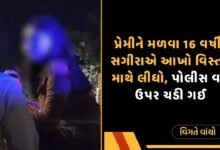 પોલીસ વાન