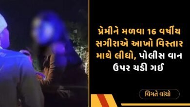પોલીસ વાન
