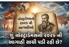 નોસ્ટ્રાડેમસ