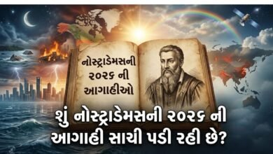 નોસ્ટ્રાડેમસ