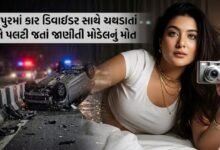 હર્ષિલ કાલિયા