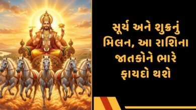 સૂર્ય અને શુક્રનું મિલન