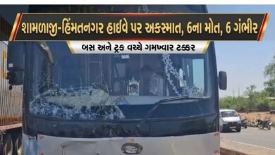 શામળાજી