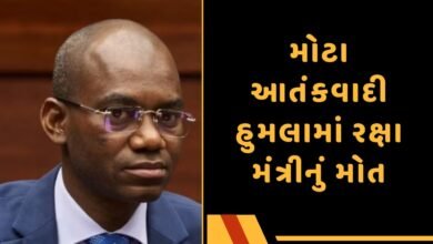 રક્ષા મંત્રી