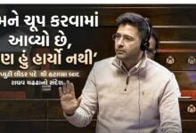 રાઘવ ચઢ્ઢા