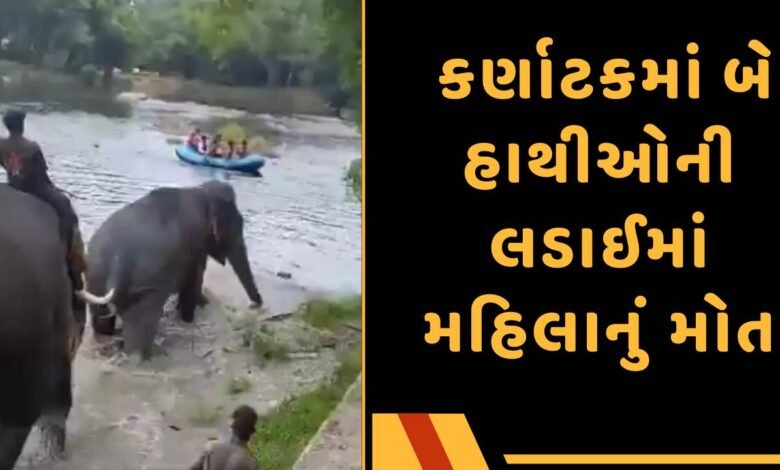 Karnataka elephant video