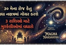કેતુ મઘા નક્ષત્રમાં