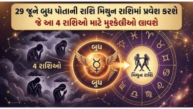 મિથુન રાશિ