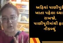 પાણીપુરી