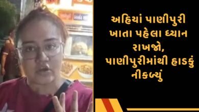 પાણીપુરી