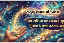 રાહુ નક્ષત્ર