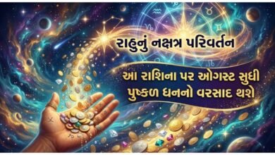 રાહુ નક્ષત્ર