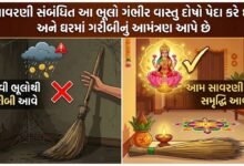 સાવરણી