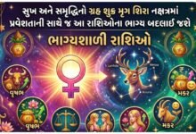 મૃગશિરા નક્ષત્ર