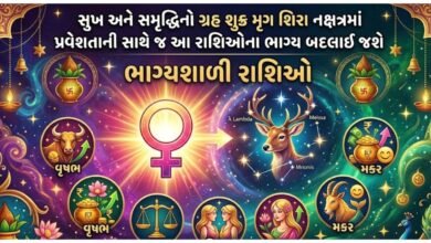 મૃગશિરા નક્ષત્ર