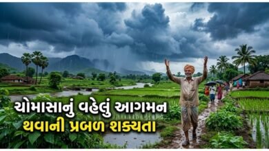 ચોમાસા