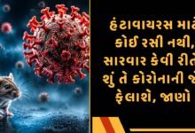 હંટાવાયરસ