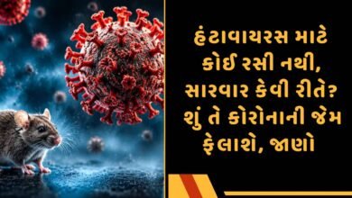હંટાવાયરસ