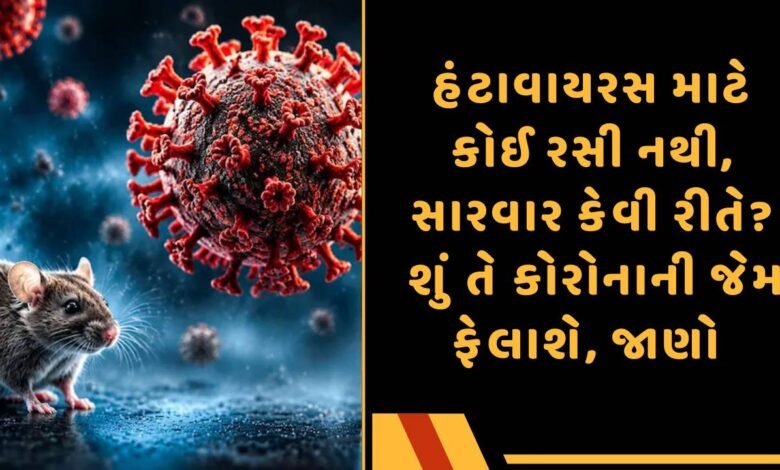 હંટાવાયરસ
