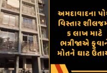 શીલજ