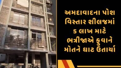 શીલજ