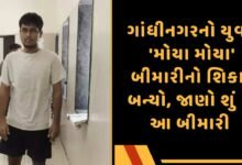 મોયા મોયા