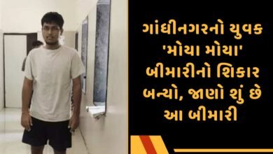 મોયા મોયા