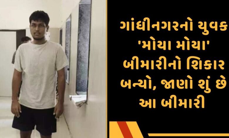 મોયા મોયા