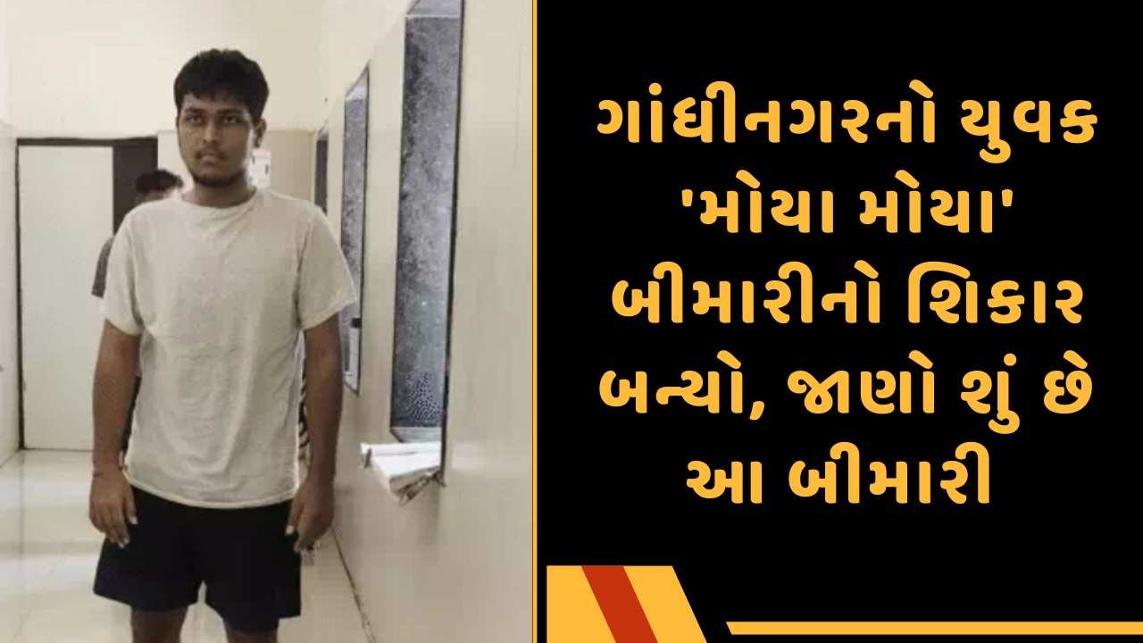 🗞️ ગુજરાત અપડેટ્સ - ShareChat