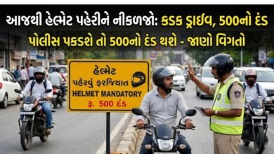 હેલ્મેટ
